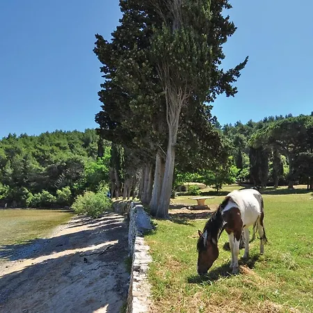 Awesome In Nereziska With House Sea View Σπίτι διακοπών Nerezisca